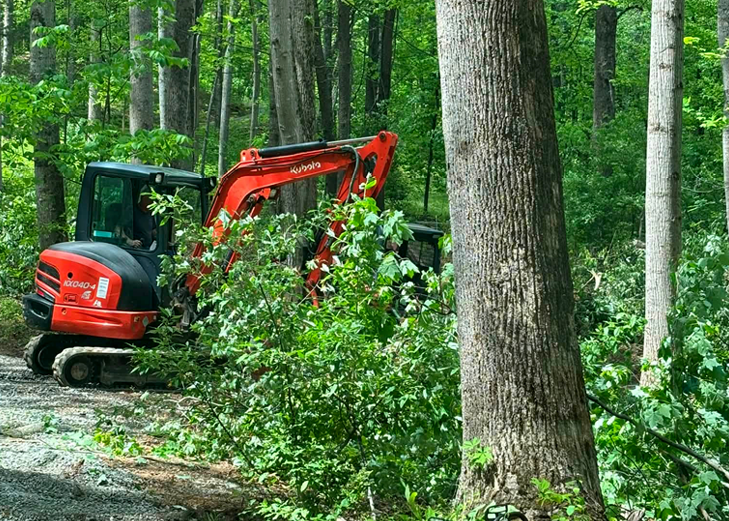 carousel-forest-mulching-land-clearing-charlottesville-va